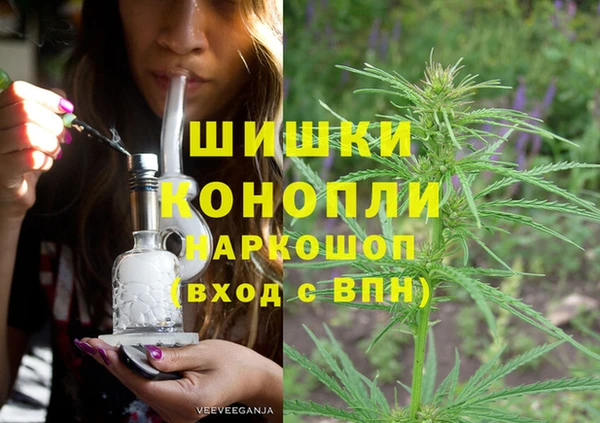 ПСИЛОЦИБИНОВЫЕ ГРИБЫ Верхний Тагил