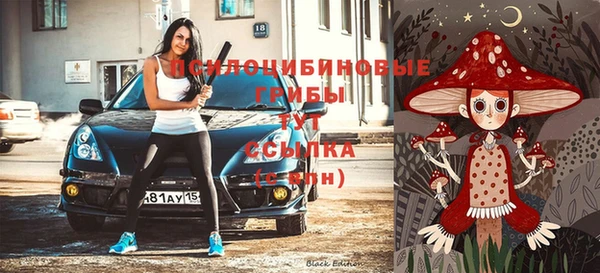 ПСИЛОЦИБИНОВЫЕ ГРИБЫ Верхний Тагил