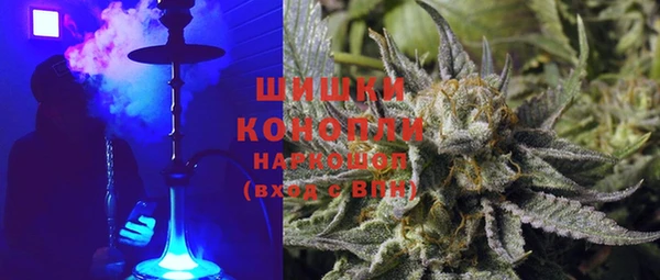 шишки Бронницы