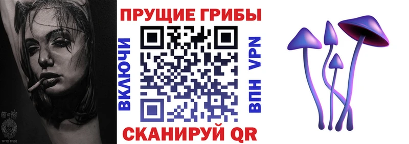 Галлюциногенные грибы Cubensis Луга