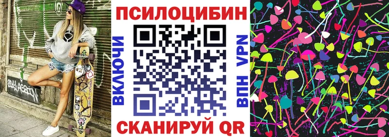 Галлюциногенные грибы Psilocybine cubensis  Луга 